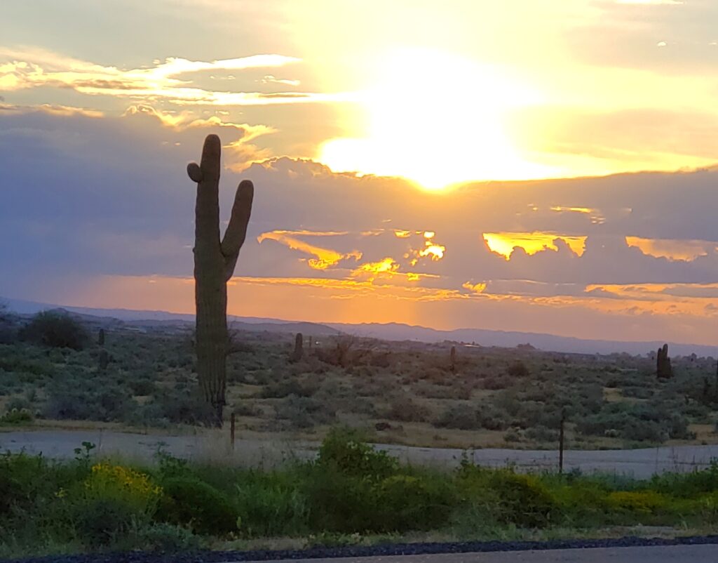 Scientific emotion Central Arizona desert